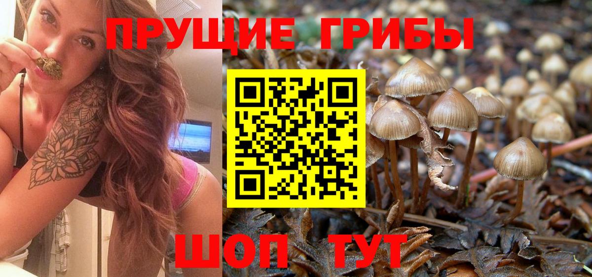 ГЕРОИН  Вход с VPN  КОКАИН  Гашиш  A-PVP СОЛЬ   Клинцы  Канабис  Мефедрон  