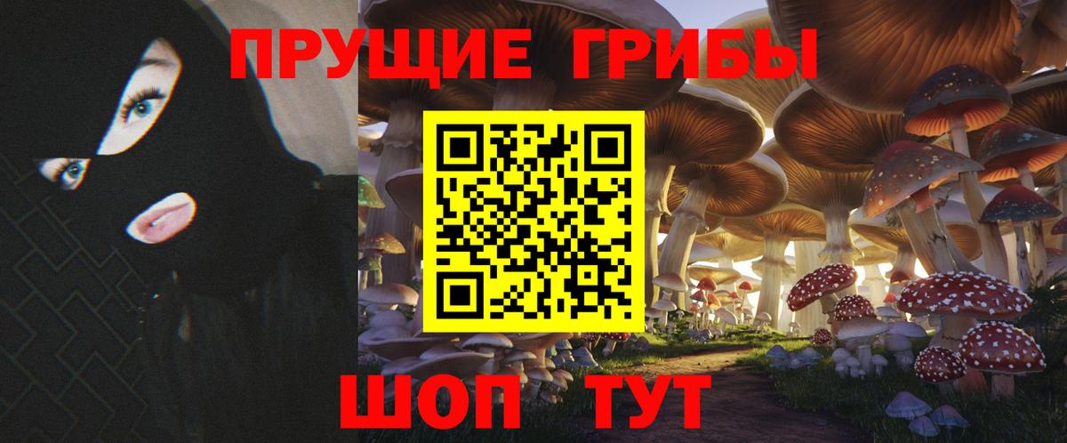 Галлюциногенные грибы MAGIC MUSHROOMS  Псилоцибиновые грибы Psilocybe  Клинцы  Вход с VPN 